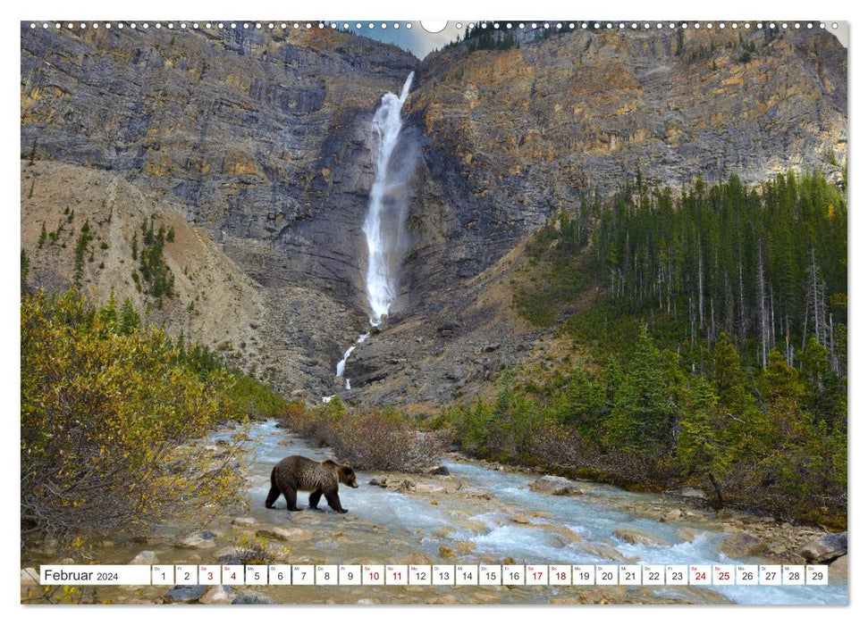 CANADA – Les ours des montagnes Rocheuses (Calvendo Premium Wall Calendar 2024) 