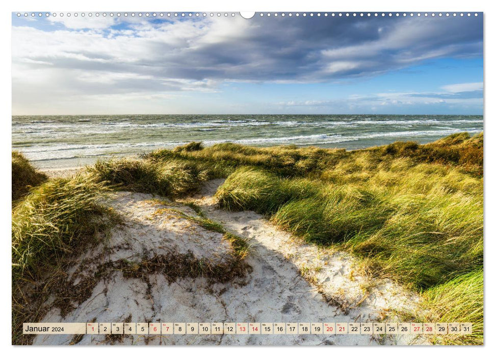 Fischland-Darß-Zingst 2024 Impressions of a peninsula (CALVENDO wall calendar 2024) 