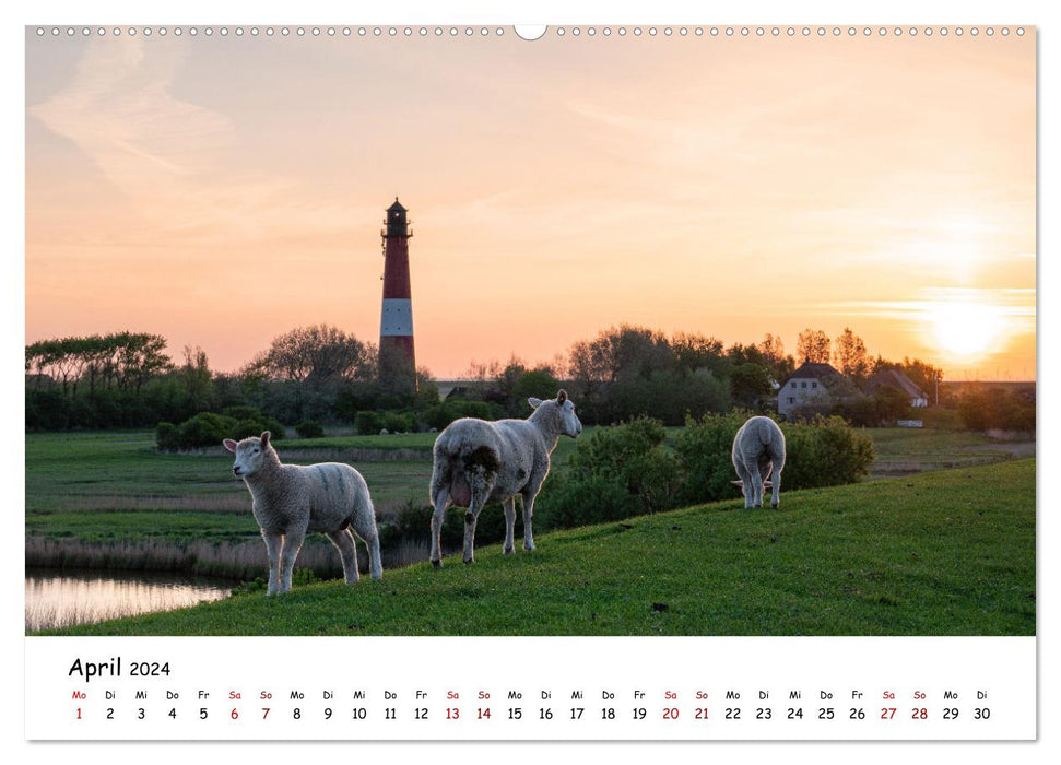 Discover Home – Frise du Nord (Calvendo Premium Wall Calendar 2024) 