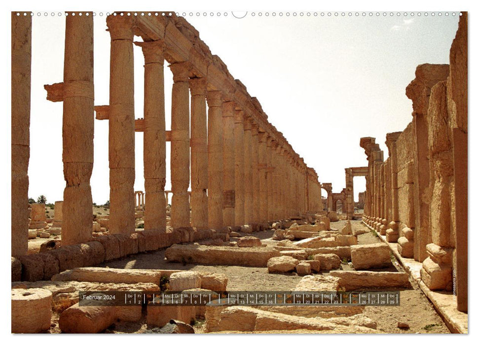 Palmyra und Apameia – Antike Metropolen in Gefahr (CALVENDO Premium Wandkalender 2024)