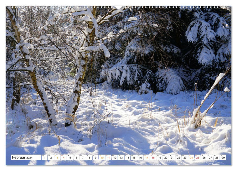 Mit Sonnenlicht (CALVENDO Wandkalender 2024)