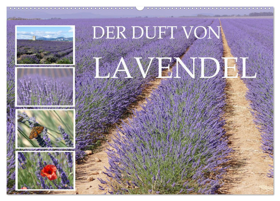 Der Duft von Lavendel (CALVENDO Wandkalender 2024)