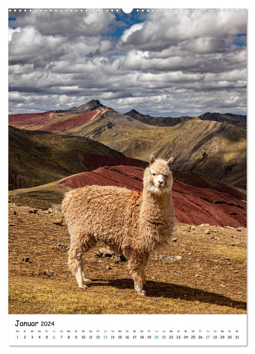 Peru in Südamerika (CALVENDO Wandkalender 2024)