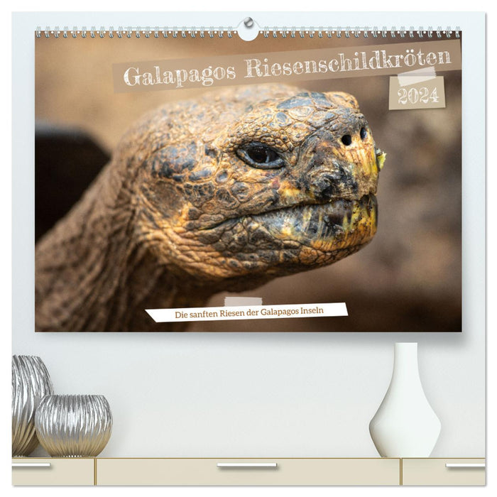 Die Riesenschildkröten der Galapagos Inseln (CALVENDO Premium Wandkalender 2024)
