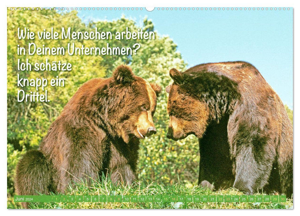 Spaß mit Bären: Edition lustige Tiere (CALVENDO Wandkalender 2024)