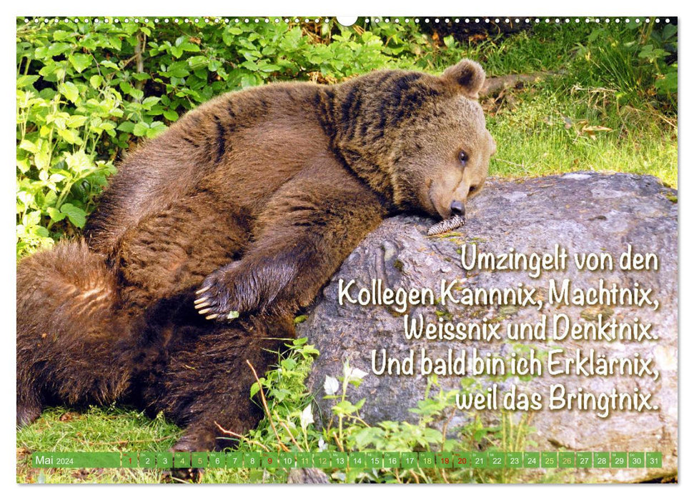 Spaß mit Bären: Edition lustige Tiere (CALVENDO Premium Wandkalender 2024)