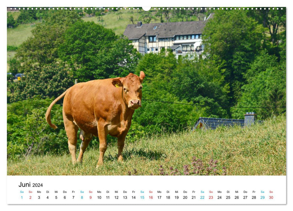 Lebenswertes Dedenborn (CALVENDO Wandkalender 2024)