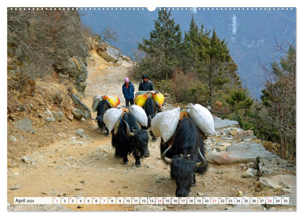 Traumtrekking in NEPAL (CALVENDO Premium Wandkalender 2024)