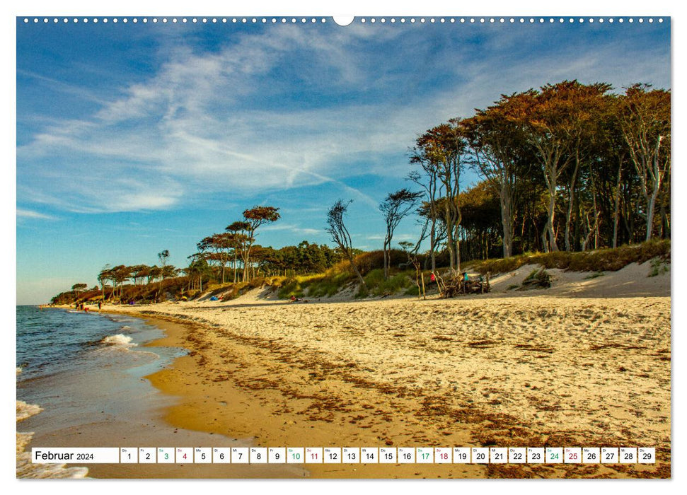 Darßer Weststrand - Fischland Darß Zingst (Calendrier mural CALVENDO 2024) 