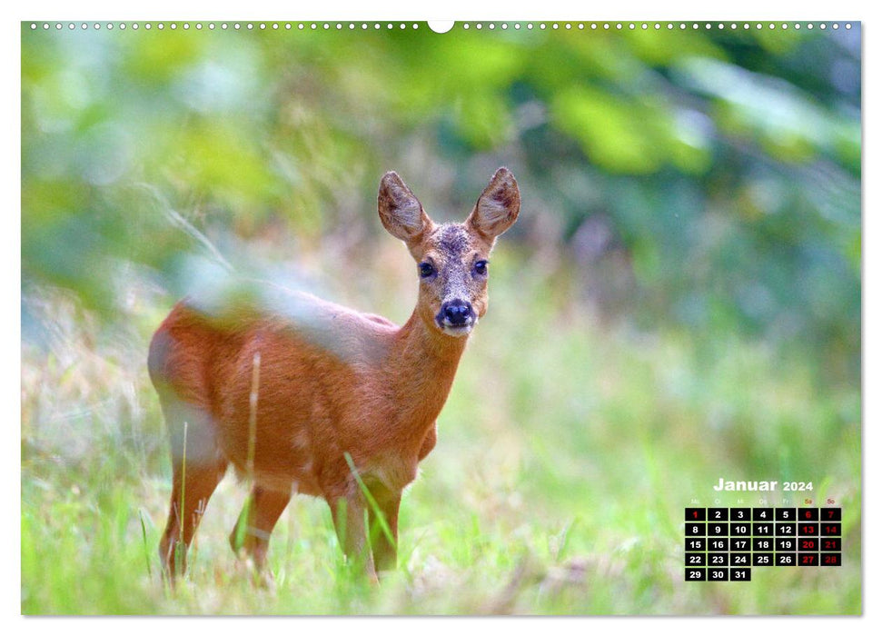 Wildes Bochum (CALVENDO Premium Wandkalender 2024)