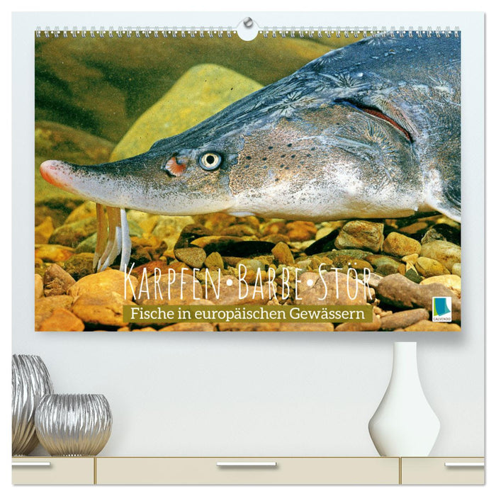 Karpfen, Barbe, Stör: Fische in europäischen Gewässern (CALVENDO Premium Wandkalender 2024)