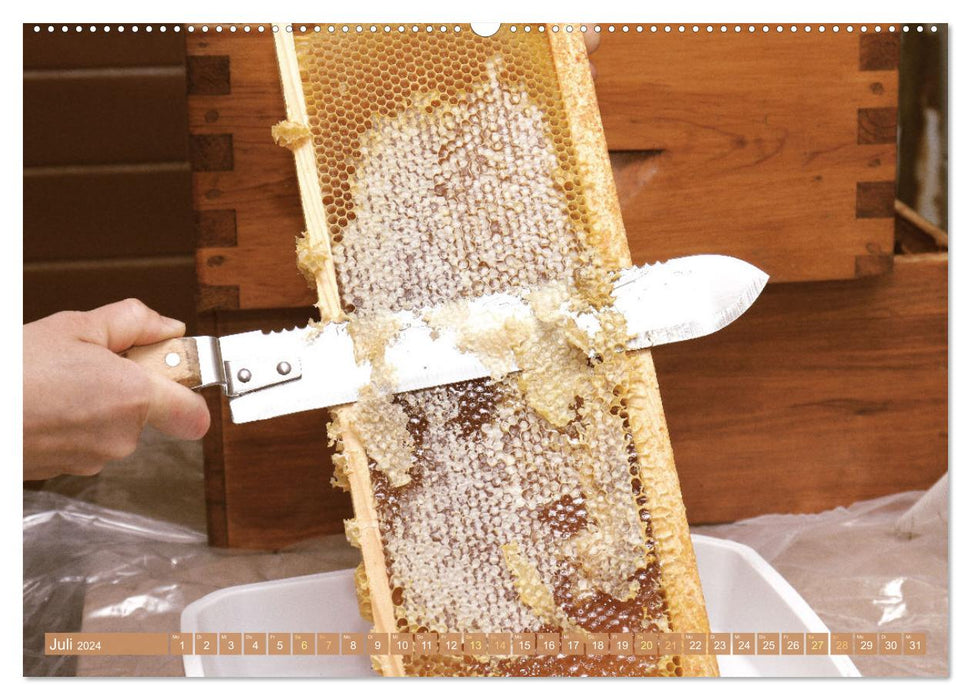 Süßes Gold: Imker, Bienen & Honig (CALVENDO Premium Wandkalender 2024)