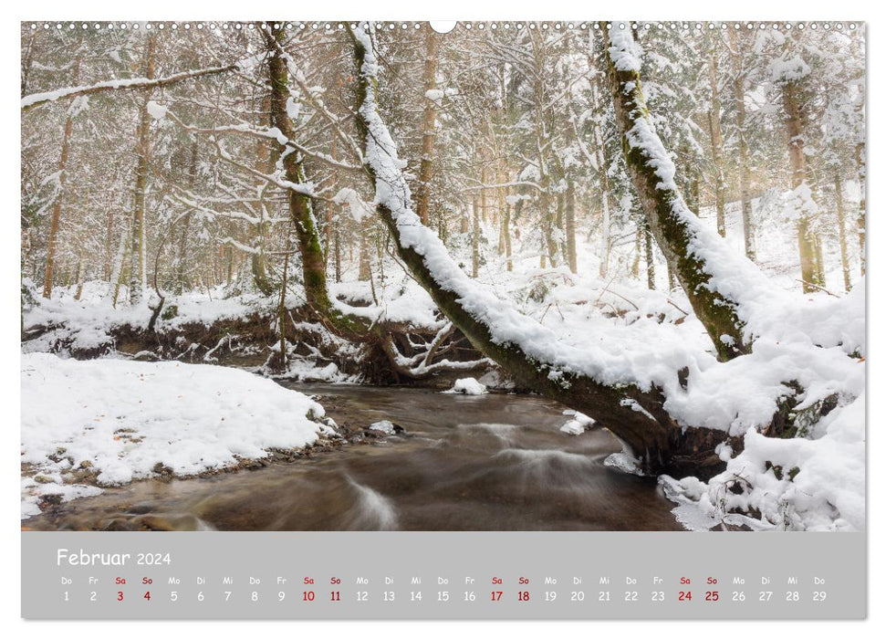 Waldbäche - Im Wandel der Jahreszeiten (CALVENDO Premium Wandkalender 2024)