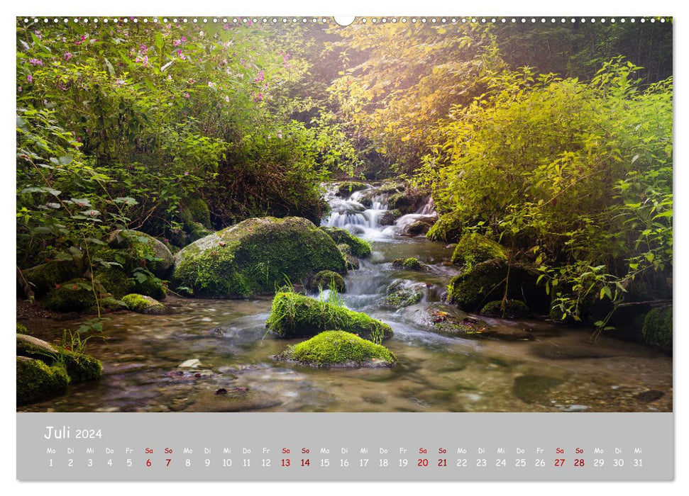 Waldbäche - Im Wandel der Jahreszeiten (CALVENDO Premium Wandkalender 2024)