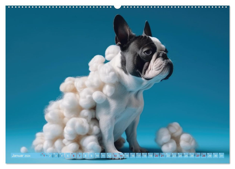 Hundemode vom Dogwalk (CALVENDO Premium Wandkalender 2024)