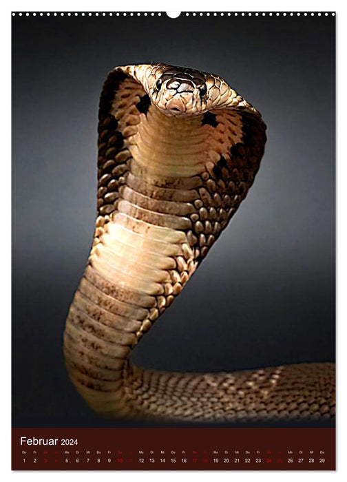 Le pouvoir du serpent (calendrier mural CALVENDO 2024) 