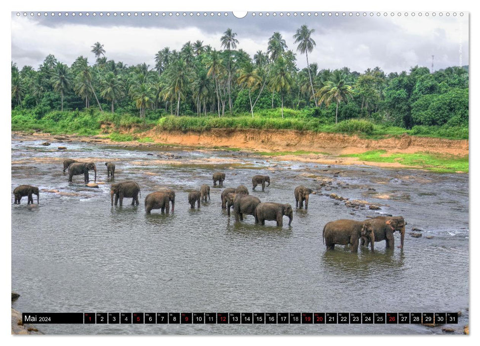 Sri Lanka 2024 – Exotische Welt (CALVENDO Premium Wandkalender 2024)