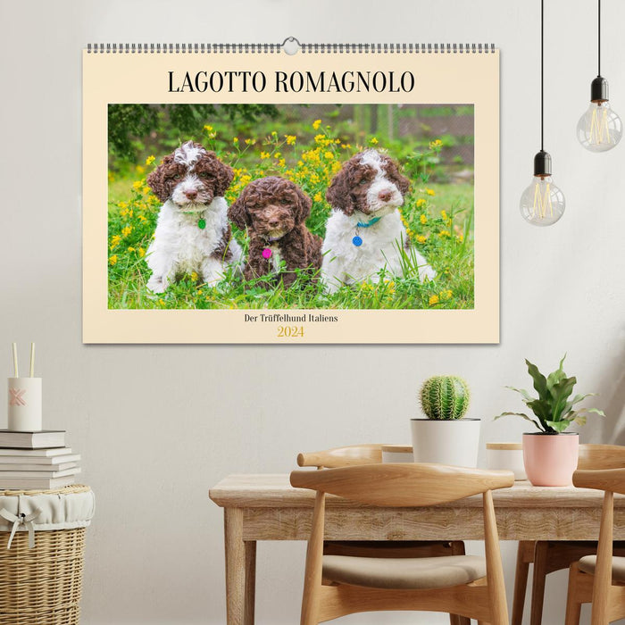 Lagotto Romagnolo - der Trüffelhund Italiens (CALVENDO Wandkalender 2024)