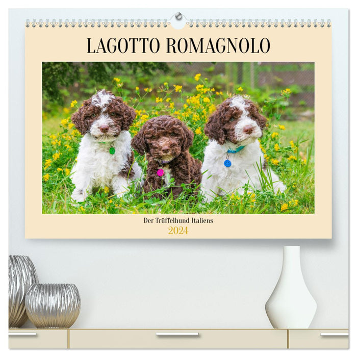 Lagotto Romagnolo - der Trüffelhund Italiens (CALVENDO Premium Wandkalender 2024)