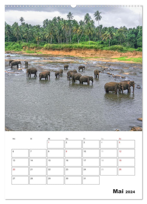 Sri Lanka 2024 - Exotisches Paradies - Jahresplaner (CALVENDO Wandkalender 2024)