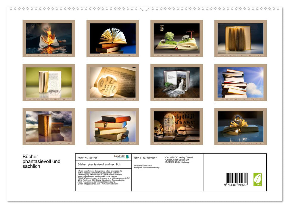 Bücher phantasievoll und sachlich (CALVENDO Premium Wandkalender 2024)