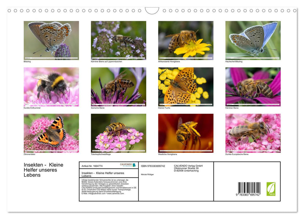 Insekten - Kleine Helfer unseres Lebens (CALVENDO Wandkalender 2024)
