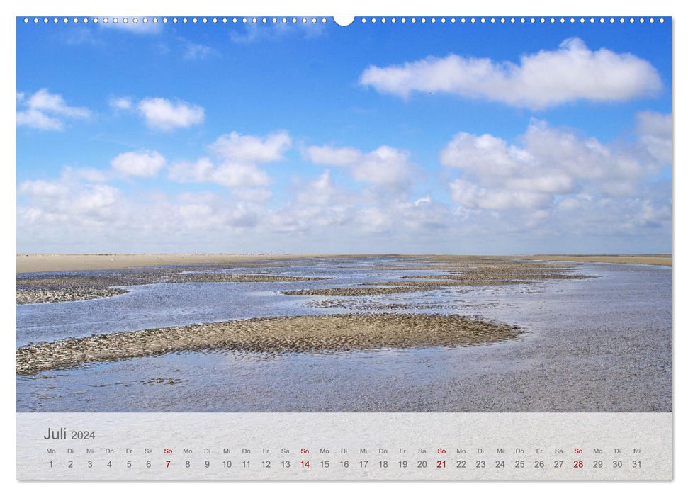 Salzwiesen, Schafe und Watt - Westerhever, ein Naturparadies an der Nordsee (CALVENDO Premium Wandkalender 2024)