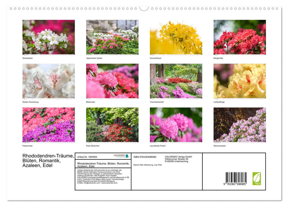 Rhododendren-Träume, Blüten, Romantik, Azaleen, Edel (CALVENDO Premium Wandkalender 2024)