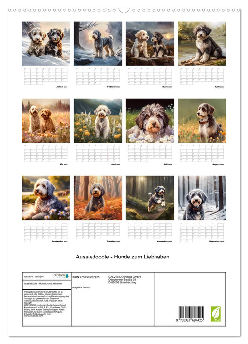 Aussiedoodle - Hunde zum Liebhaben (CALVENDO Premium Wandkalender 2024)