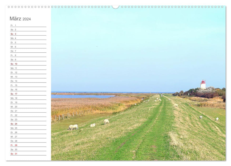 Fehmarn, Rügen und Usedom - Impressionen von den drei großen Ostseeinseln (CALVENDO Premium Wandkalender 2024)