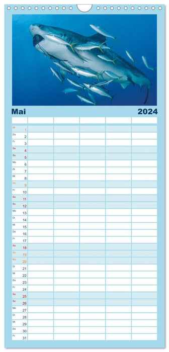 Hai: Raubtier der Meere (CALVENDO Familienplaner 2024)