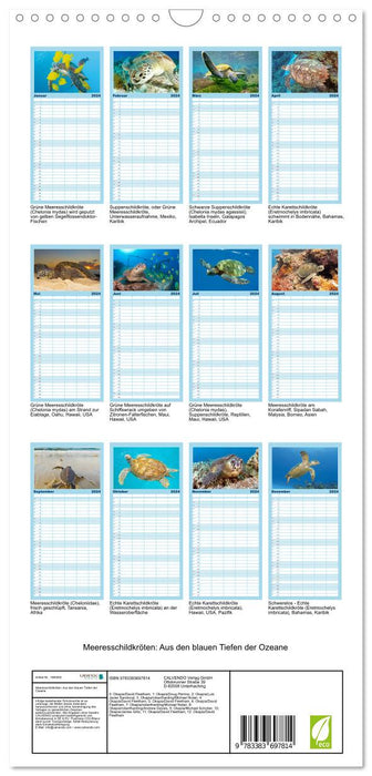 Meeresschildkröten: Aus den blauen Tiefen der Ozeane (CALVENDO Familienplaner 2024)