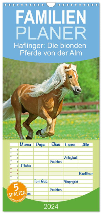 Haflinger: Die blonden Pferde von der Alm (CALVENDO Familienplaner 2024)