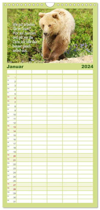 Spaß mit Bären: Edition lustige Tiere (CALVENDO Familienplaner 2024)