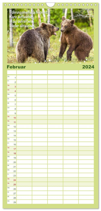 Spaß mit Bären: Edition lustige Tiere (CALVENDO Familienplaner 2024)