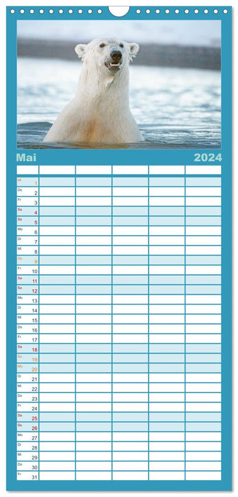 Eisbären: Lebenskünstler im Eis (CALVENDO Familienplaner 2024)