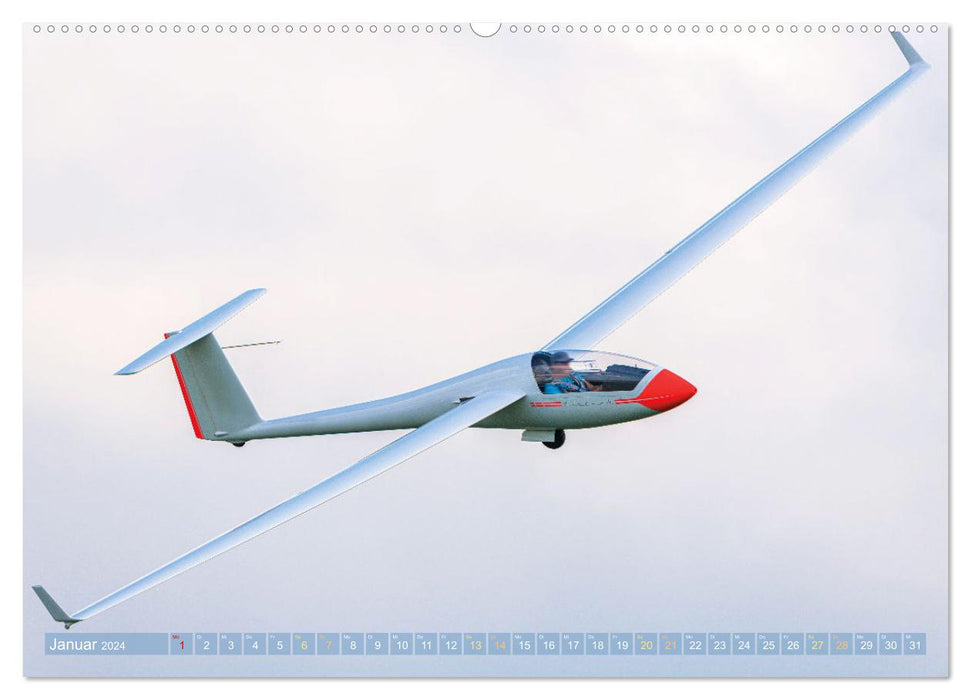 Meister in der Schwebe: Segelflugzeuge (CALVENDO Premium Wandkalender 2024)