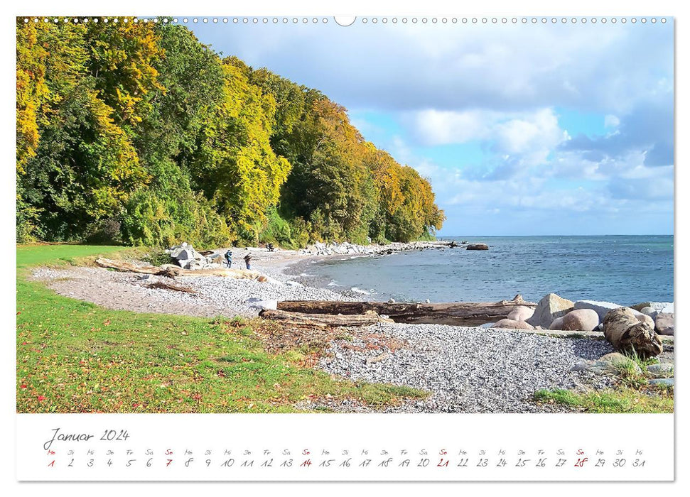 Mein Sassnitz - Hafenstadt und Erholungsort an der Kreideküste von Rügen (CALVENDO Wandkalender 2024)