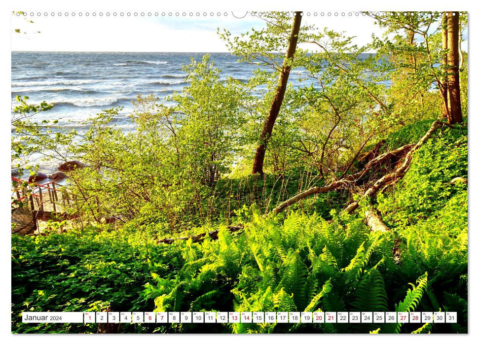 Grünes Estland - Naturparadies am Baltischen Meer (CALVENDO Wandkalender 2024)