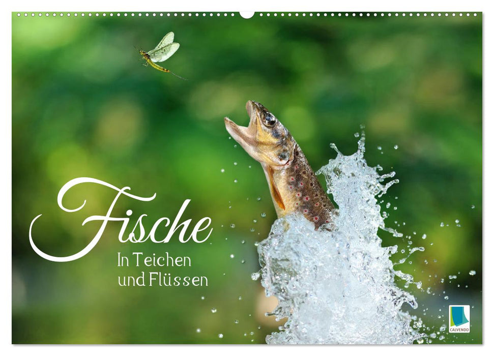Fische in Teichen und Flüssen (CALVENDO Wandkalender 2024)