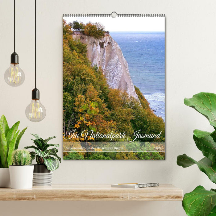 Im Nationalpark Jasmund - Naturwunder auf der Ostseeinsel Rügen (CALVENDO Wandkalender 2024)