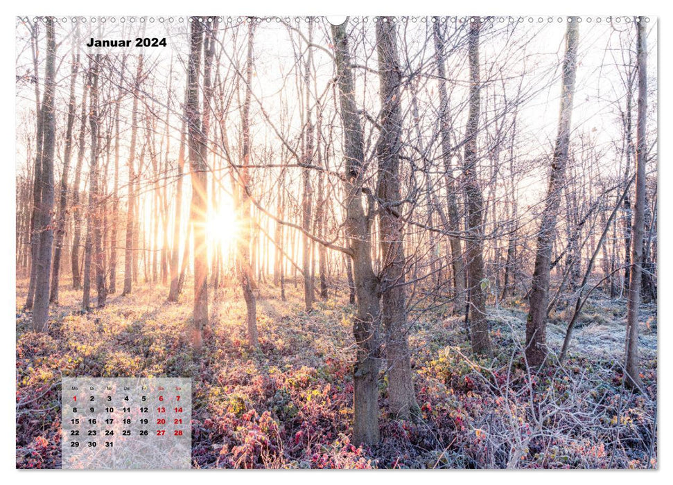 Ein Jahr Niederrhein Momente der Natur (CALVENDO Wandkalender 2024)