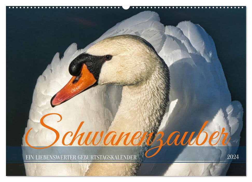 Schwanenzauber (CALVENDO Wandkalender 2024)