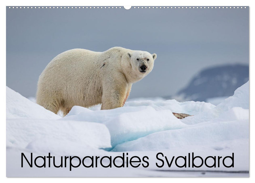 Paradis naturel Svalbard (calendrier mural CALVENDO 2024) 