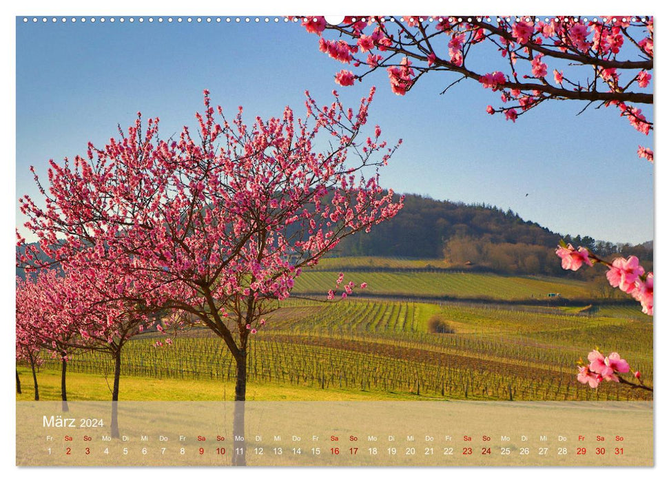 Wanderparadies Südpfalz (CALVENDO Premium Wandkalender 2024)