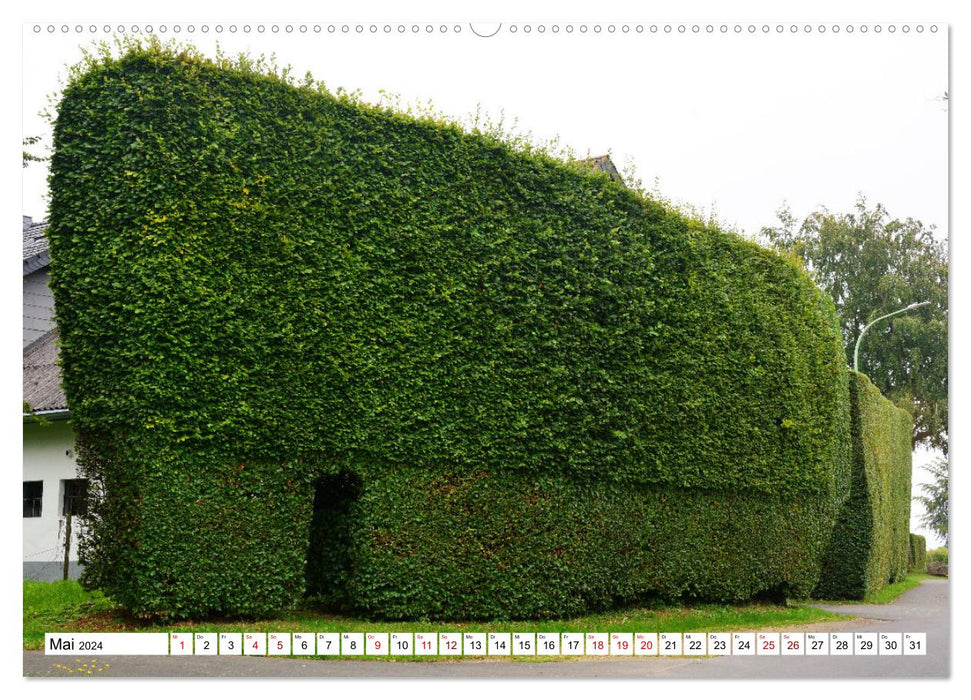 Faszinierende Hecken - Grüne Schönheiten im Monschauer Land (CALVENDO Premium Wandkalender 2024)
