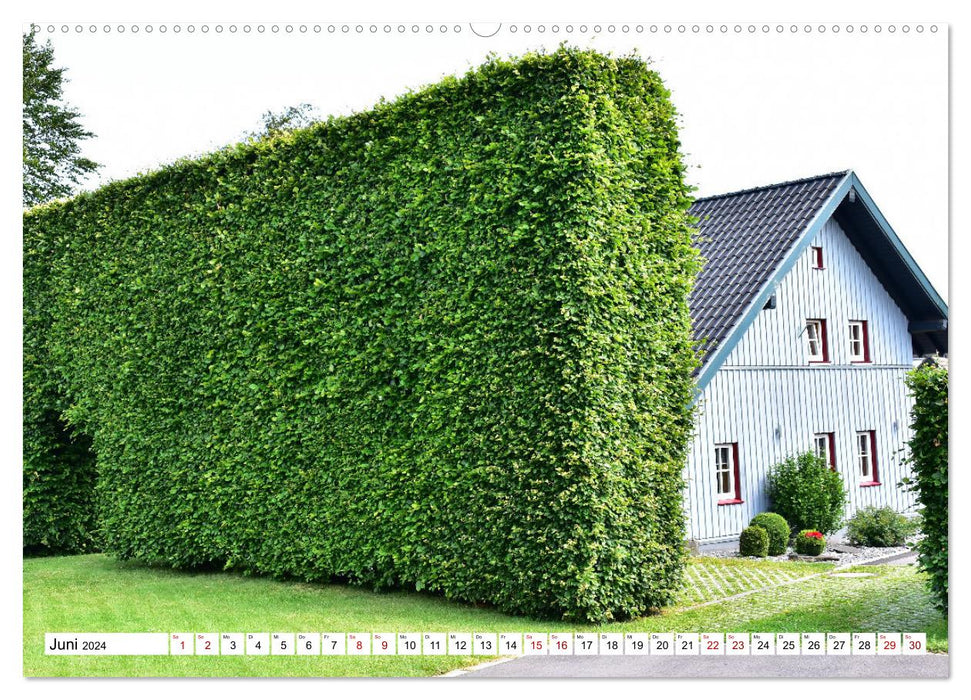 Faszinierende Hecken - Grüne Schönheiten im Monschauer Land (CALVENDO Premium Wandkalender 2024)