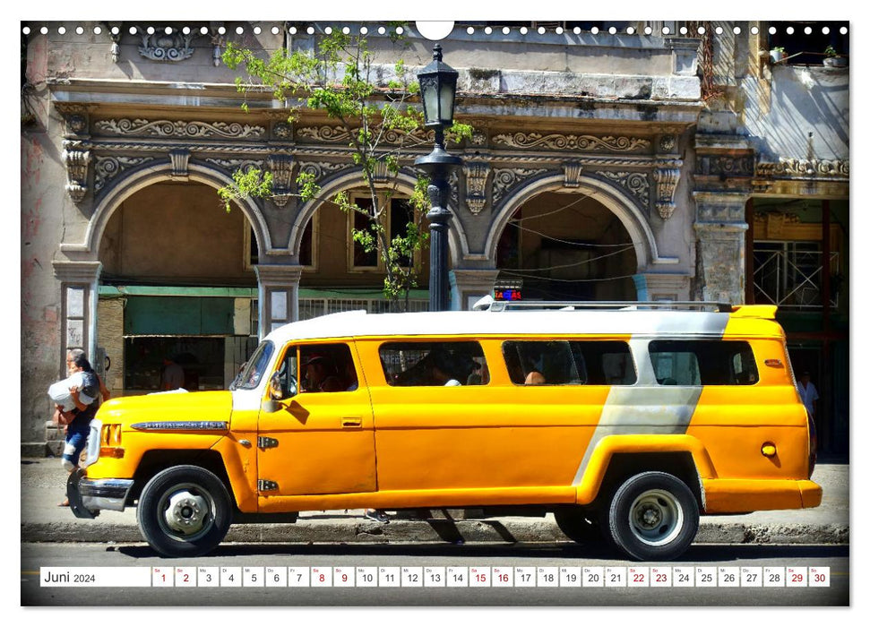 Amerikanische Kleinbusse (CALVENDO Wandkalender 2024)