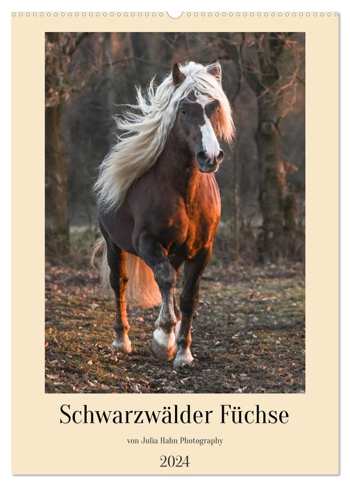 Schwarzwälder Füchse von Julia Hahn Photography (CALVENDO Wandkalender 2024)