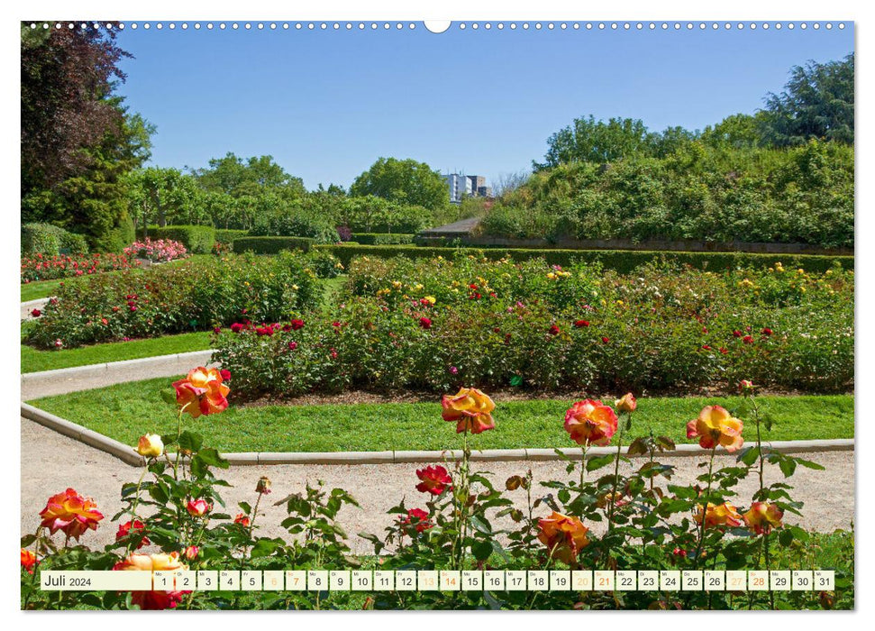 Parks und Gärten in Köln (CALVENDO Premium Wandkalender 2024)